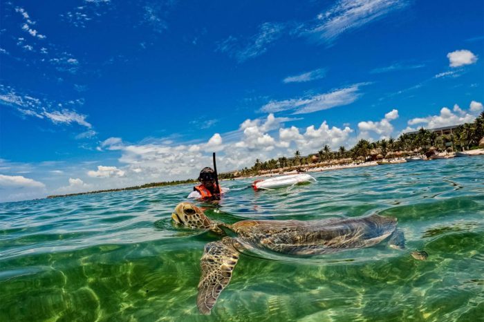 Tulum, Turtle Bay & Cenote