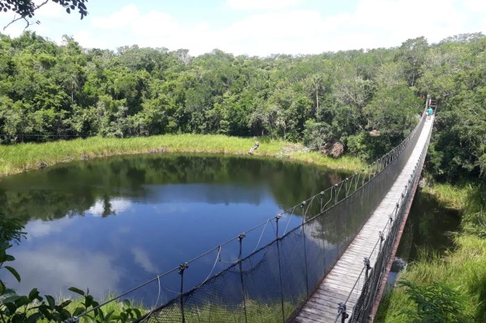 Cobá – Pacchen adventure